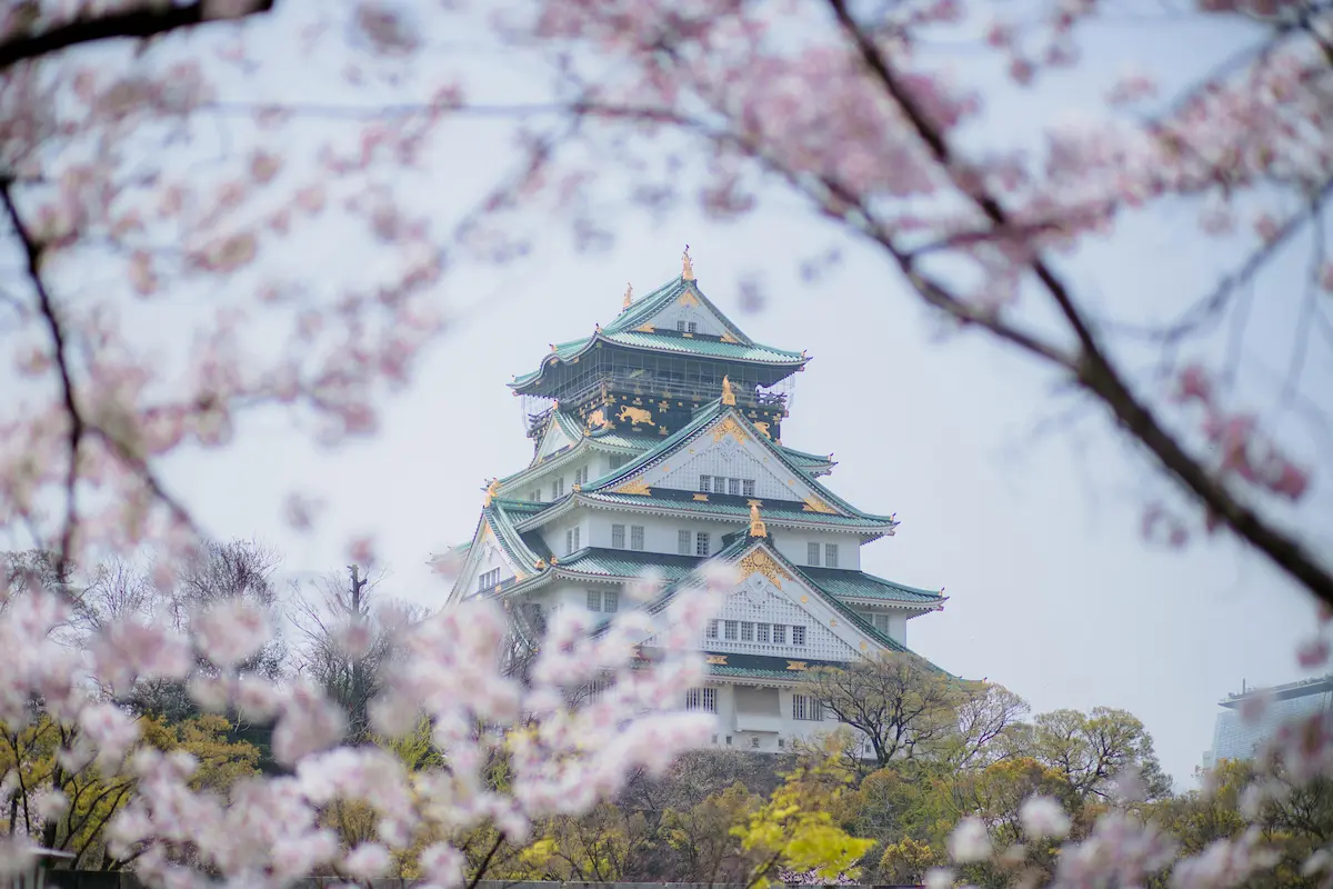 Osaka Castle surrounded by cherry blossoms in spring, Japan — a serene landmark often visited by solo women travelers.