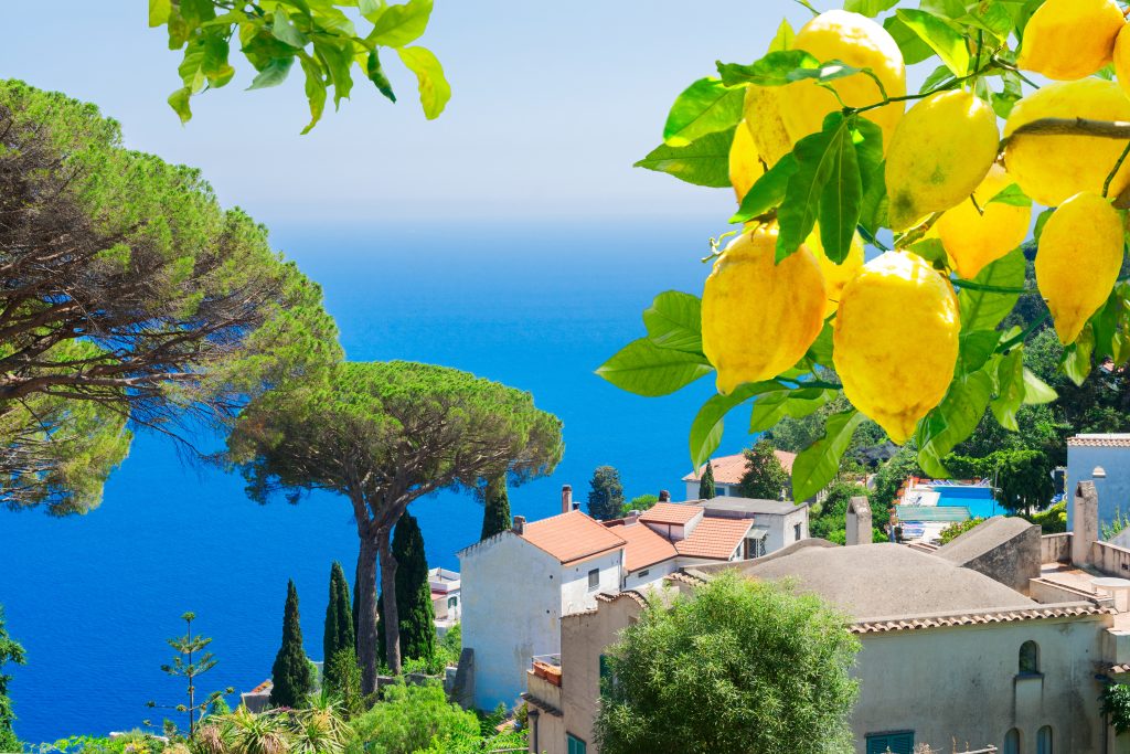 amalfi coast solo - ravello lemon trees sea view solo travel wandersister