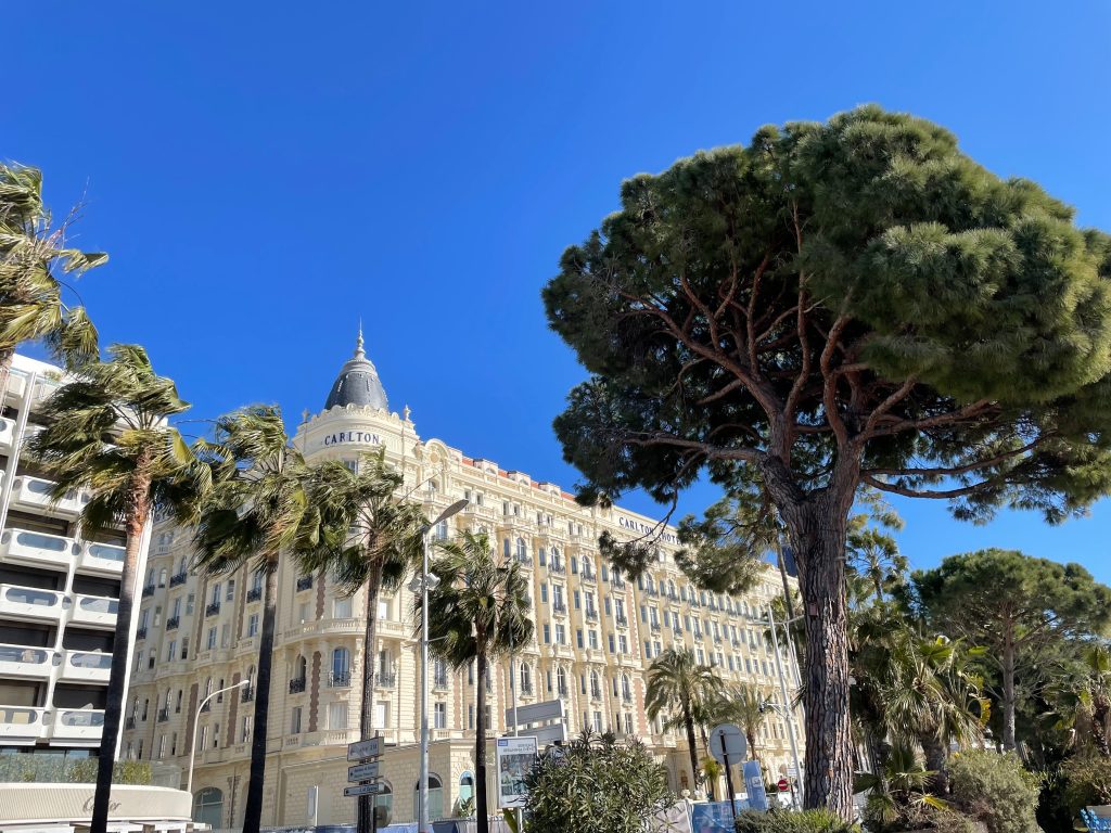 cannes carlton hotel palm trees cote d'azur solo travel wandersister