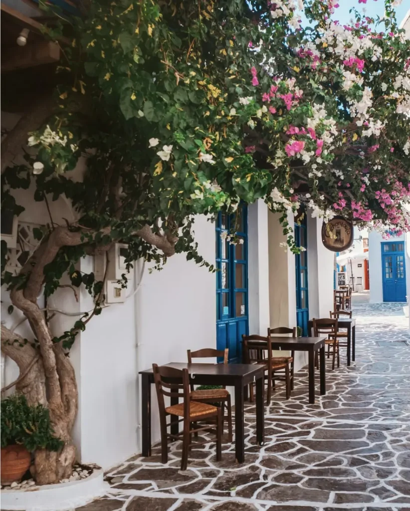 Whitewashed cliffside houses above the blue Aegean Sea in Santorini, illustrating safe and elegant Greece solo travel for women over 50.