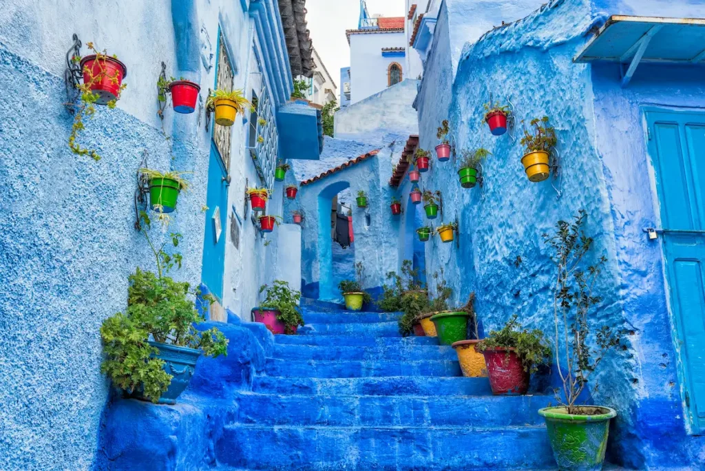 Colorful potted plants on a blue staircase in Chefchaouen — Morocco solo female travel over 50