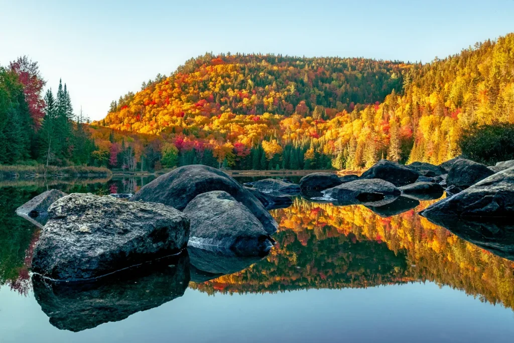 New England fall foliage