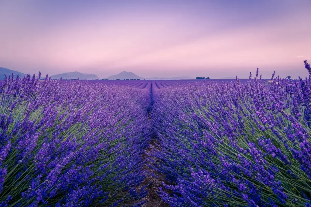 solo travel France