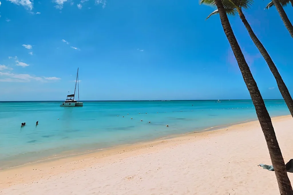 Solo travel Barbados: palm trees leaning over the clear turquoise water of a Platinum Coast beach, with a catamaran anchored offshore and a bright blue sky.